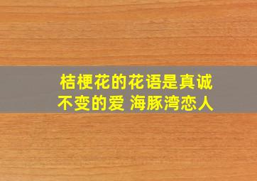 桔梗花的花语是真诚不变的爱 海豚湾恋人